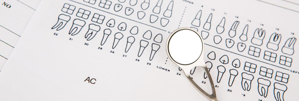 dental teeth numbers