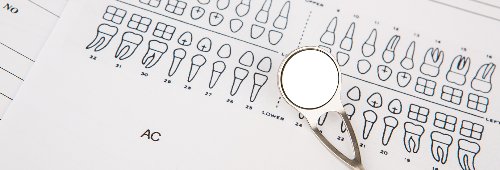 Orthodontic Teeth Numbers